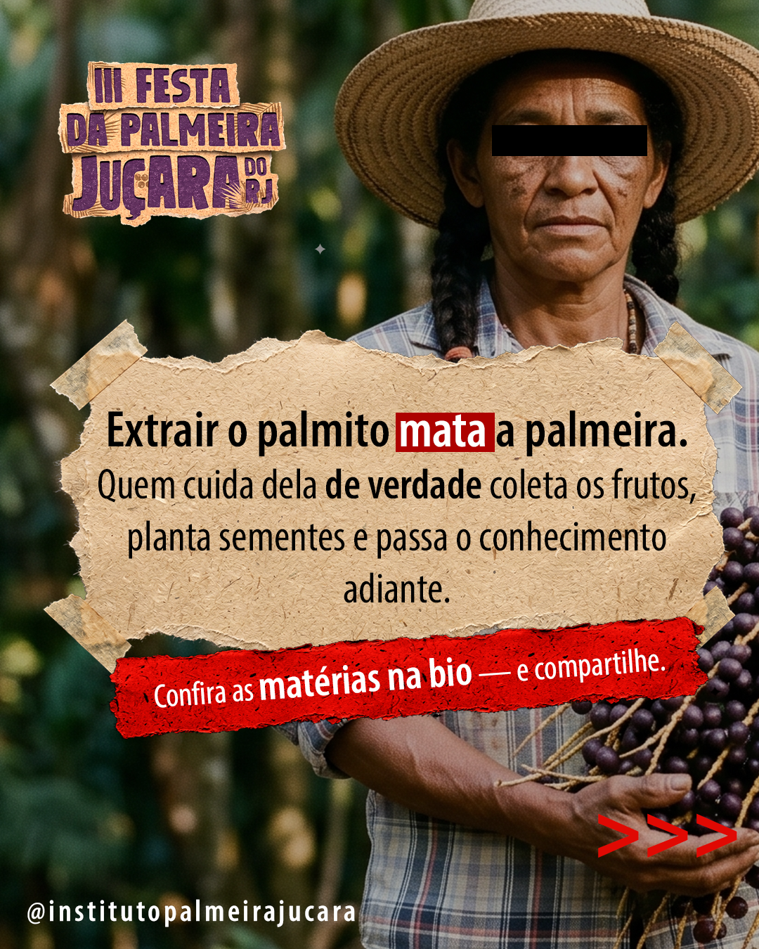 Extrair o palmito mata a palmeira. Quem cuida dela de verdade coleta os frutos.
