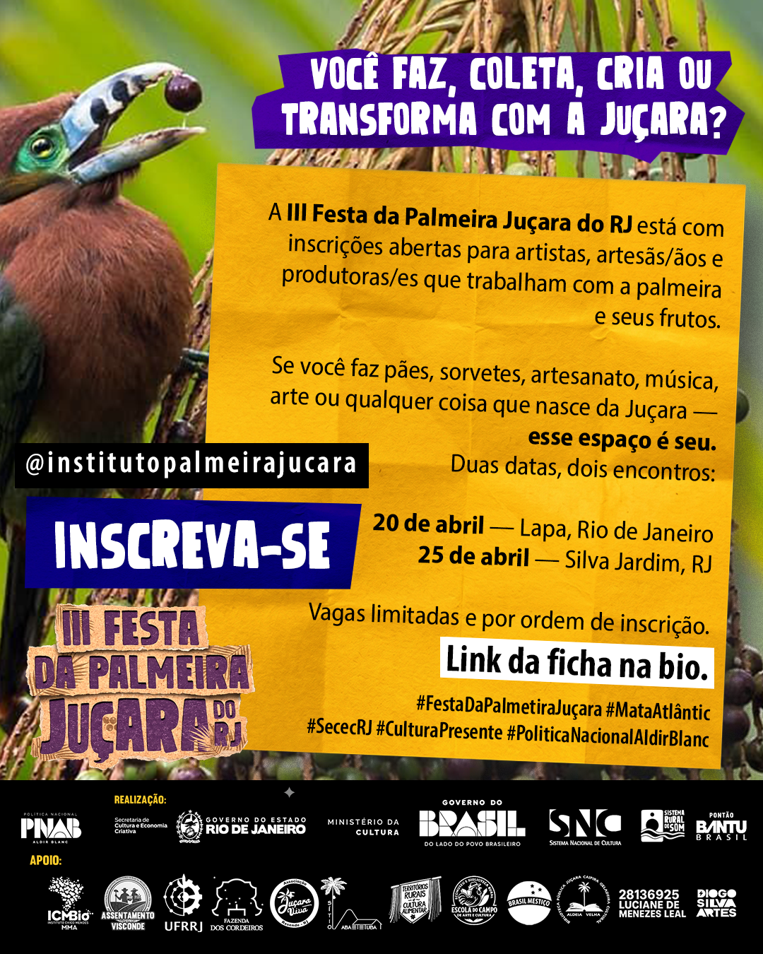 Post de inscrição da III Festa da Palmeira Juçara do RJ com datas e chamada para artesãs, artistas e produtoras.